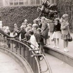 zoo 1962-2