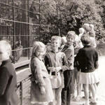 zoo 1962-4